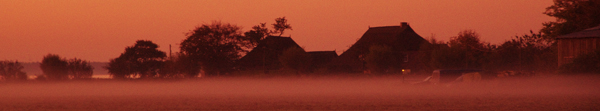 Barnstorf im Morgennebel - foto © by silvia priebe